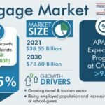 Luggage Market Analysis by Trends, Size, Share, Growth Opportunities, and Emerging Technologies