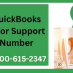 Streamlining Financial Management with QuickBooks Premier