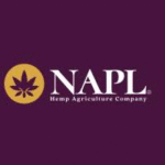 Nap Limited