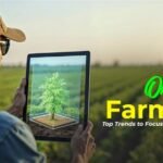 The Future of Organic Farming: Top Trends to Focus on in 2025